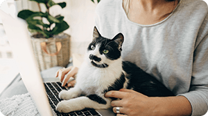 A cat on a keyboard