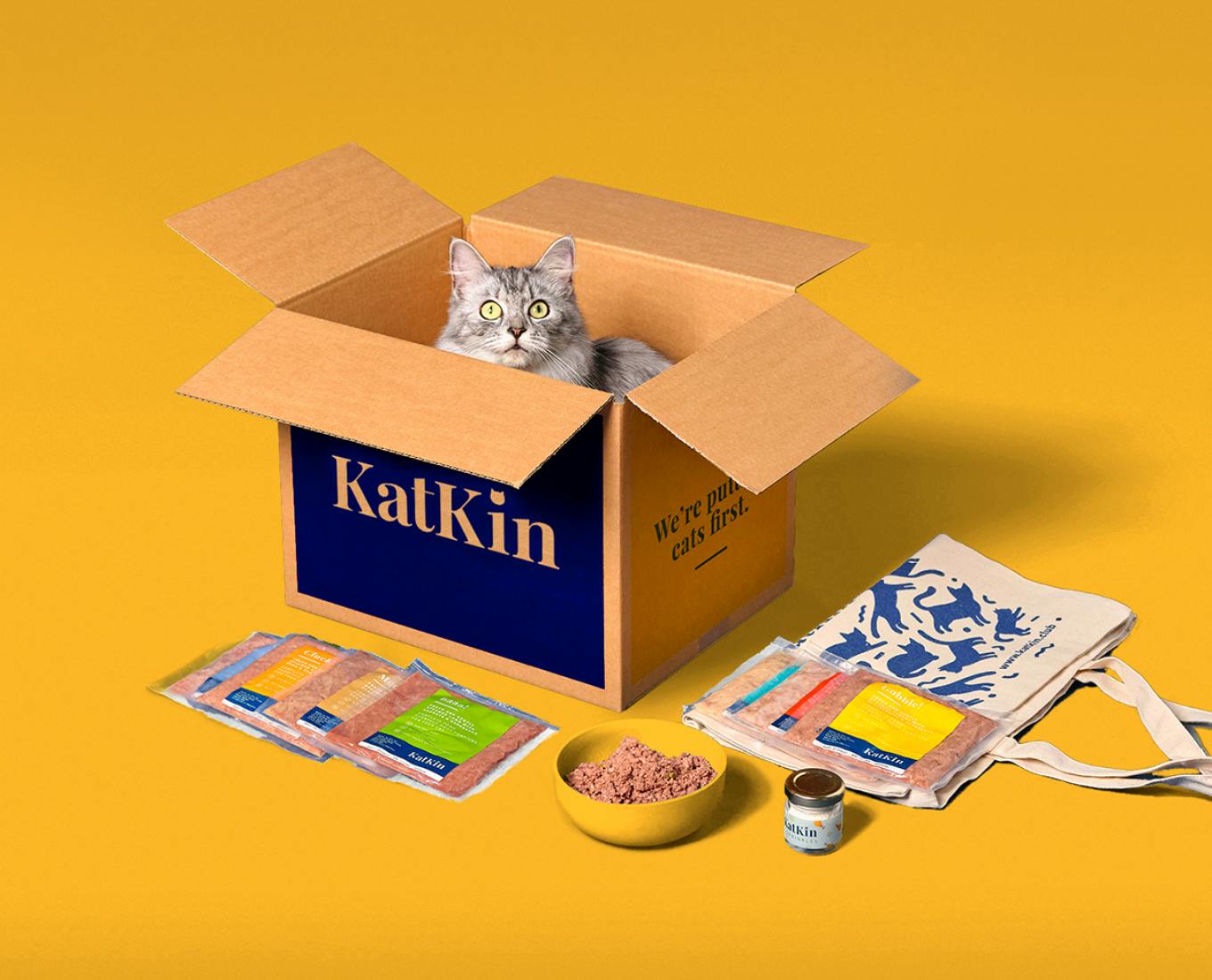 KatKin pet food box with a cat in it