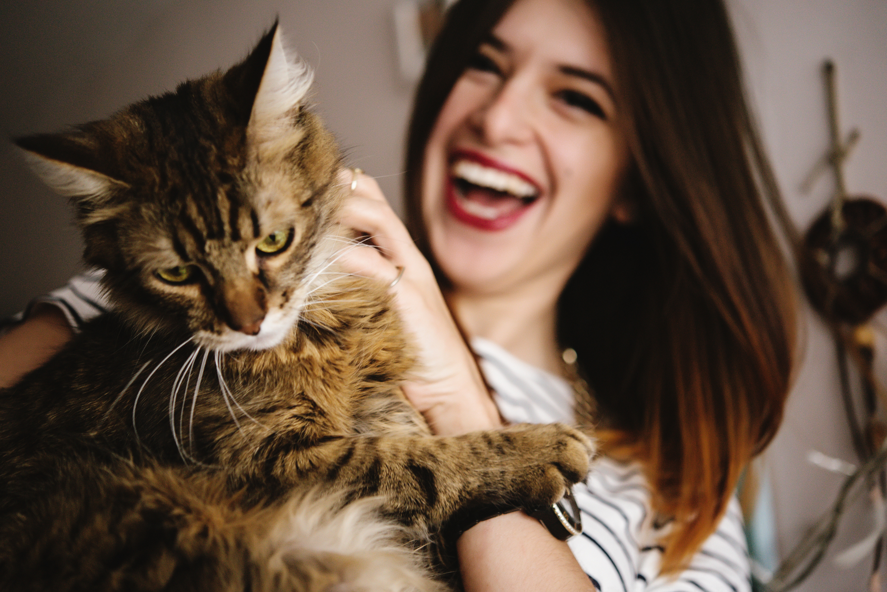 Woman laughing while holding a cat