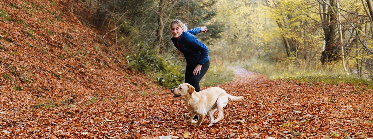 A woman throwing a ball in the woods for a small Golden Labrador. 