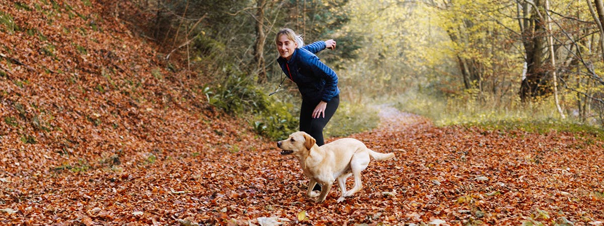 A woman throwing a ball for a Golden Retriever in the middle of a forest