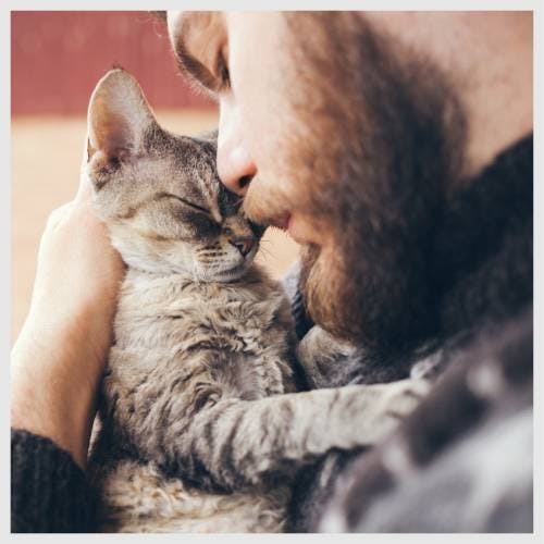 A pet sitter cuddling a kitten.