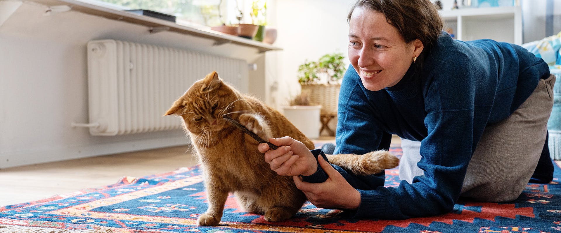 A woman playing with a cat