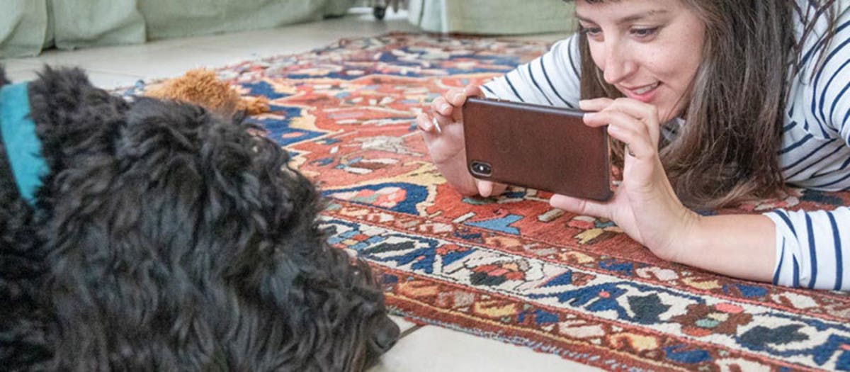 Taking a photo on the floor on the dog's level