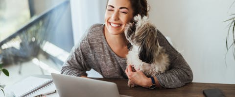A woman working remotely while traveling with a dog licking her face.