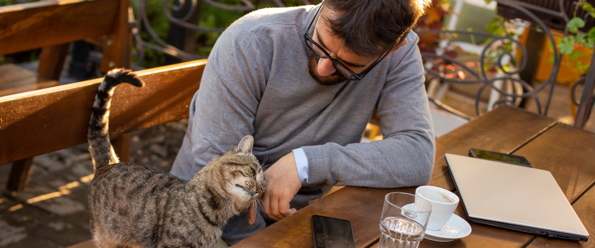 A cat rubs up against someone in a cafe.