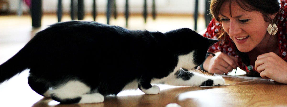 A woman playing on the floor with a black and white Tuxedo cat