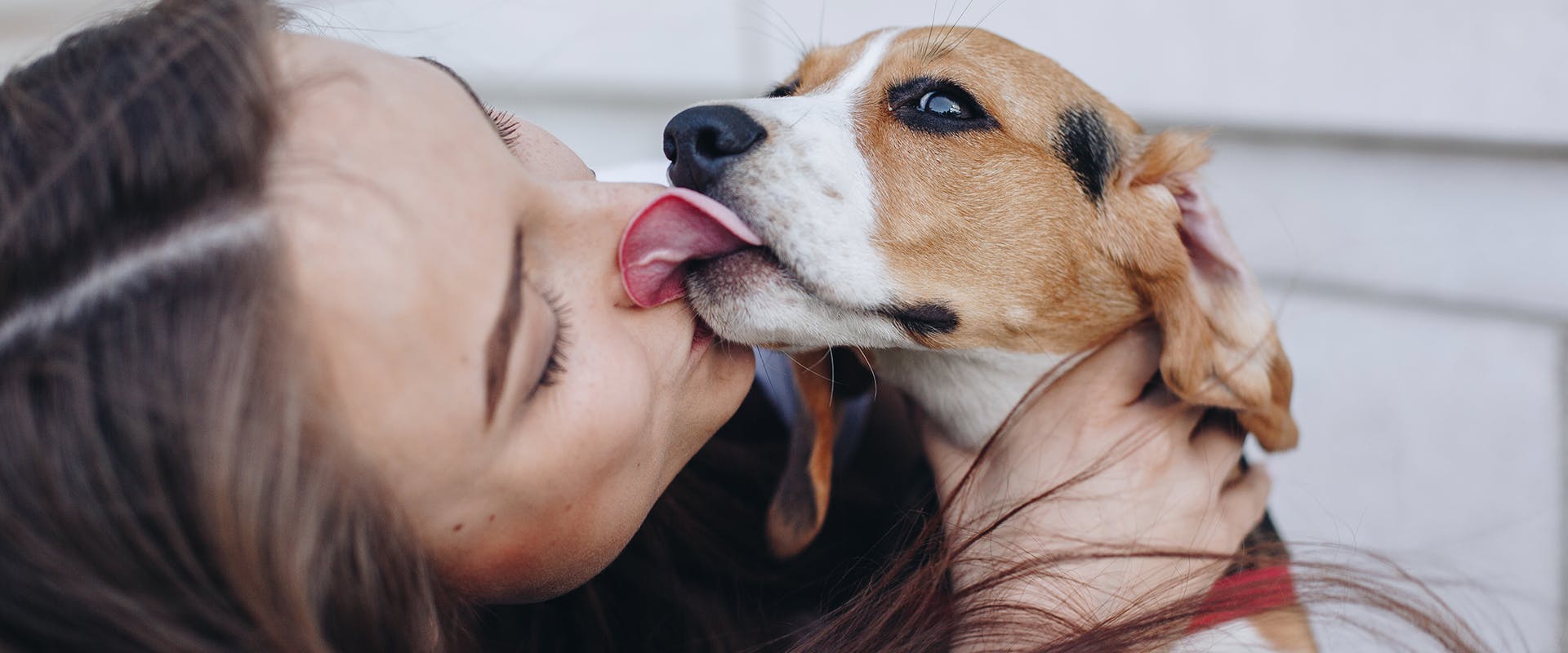 How to show your dog you love them: a dog licking a woman's face