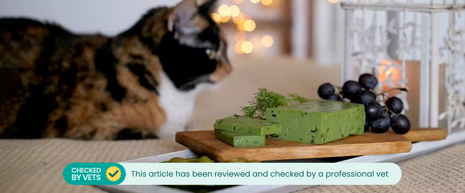 A cat sitting on a bed next to a cheese board with olives