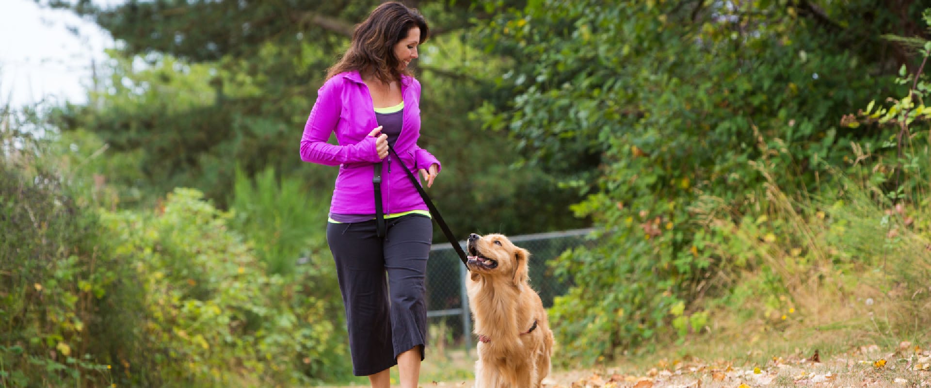 Walking the dog is one of many health benefits of owning a dog.