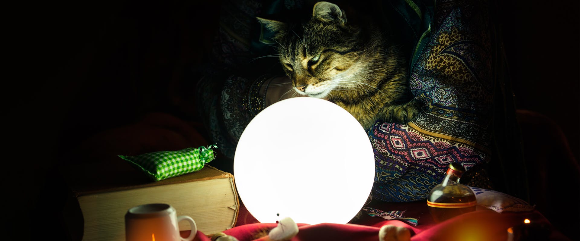A mystical tabby cat looking into a glowing crystal ball