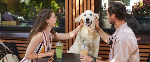 A couple and their dog sitting outdoors at a restaurant