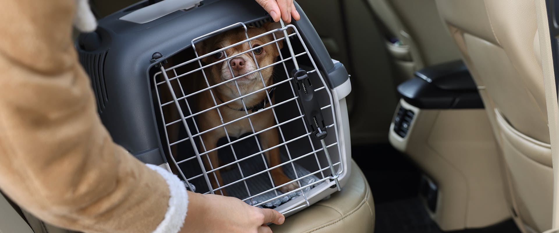 A person restraining a dog in a travel crate in the back seat of a car