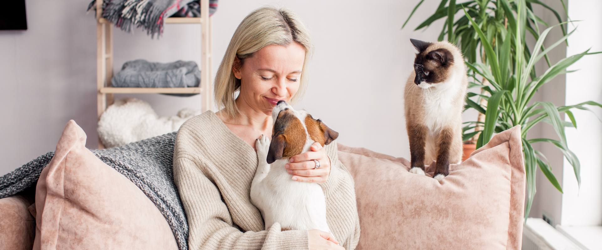 A trusted house sitter takes care of a cat and dog.