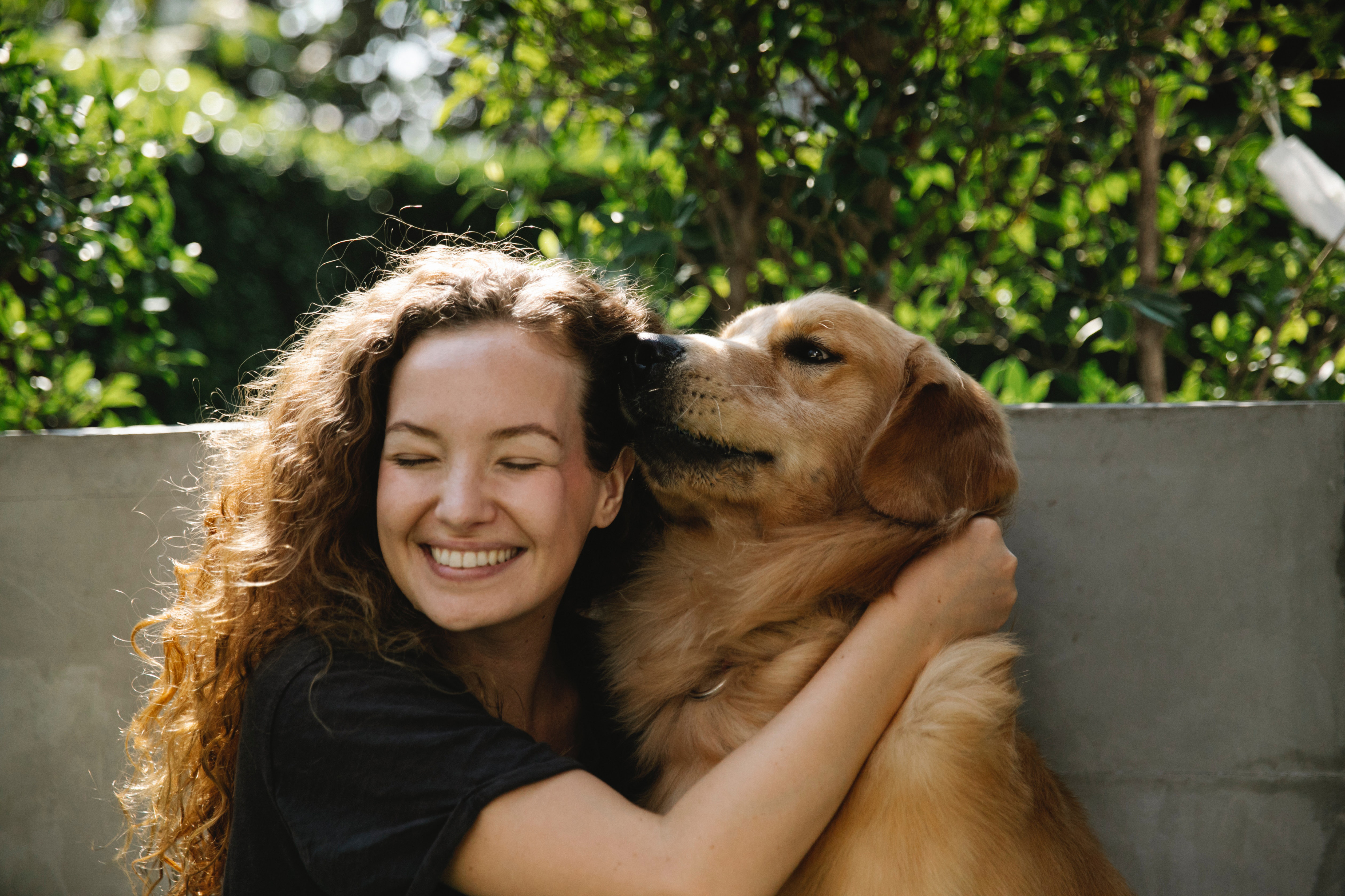 Dog minding in your best sale own home