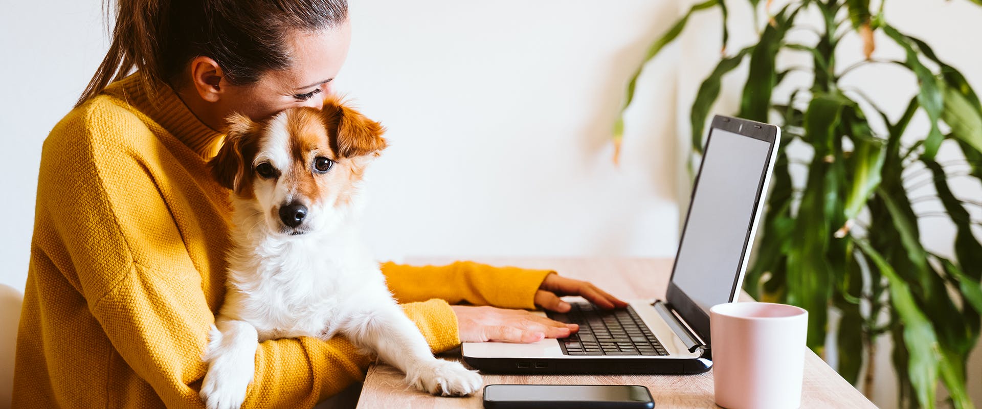 A woman working on her laptop with a cute dog sat on her lap