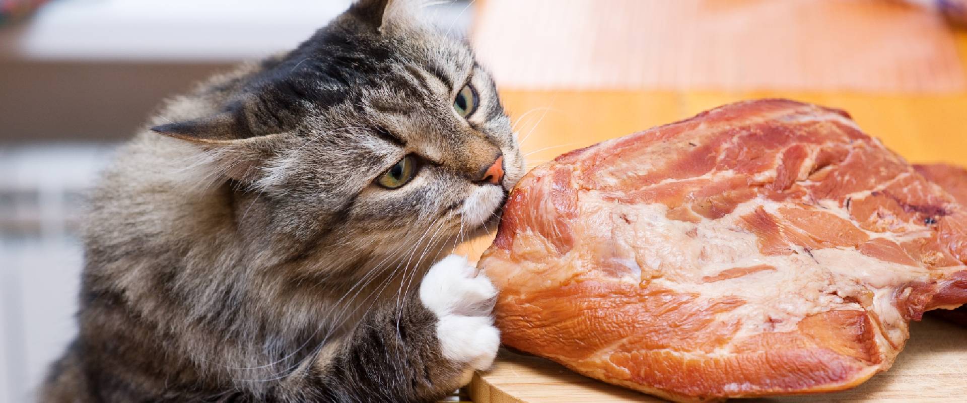 cats and pork