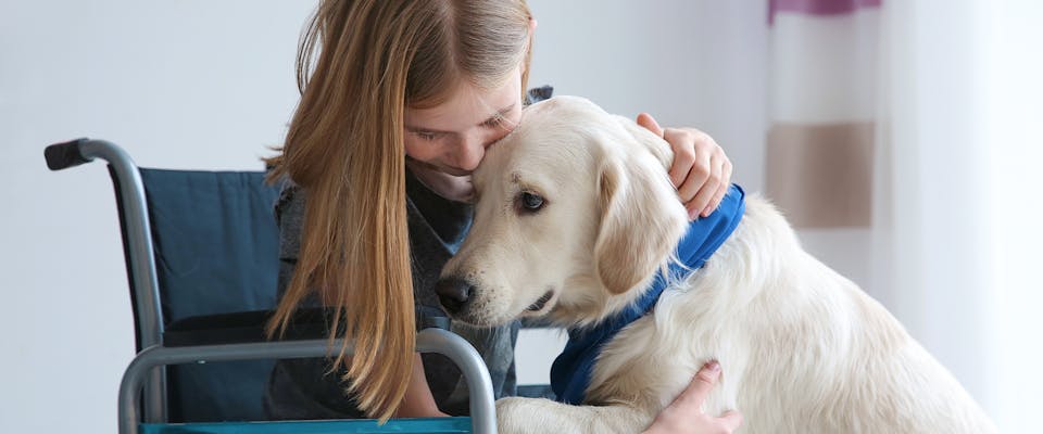 A young girl in a wheelchair hugging a service dog