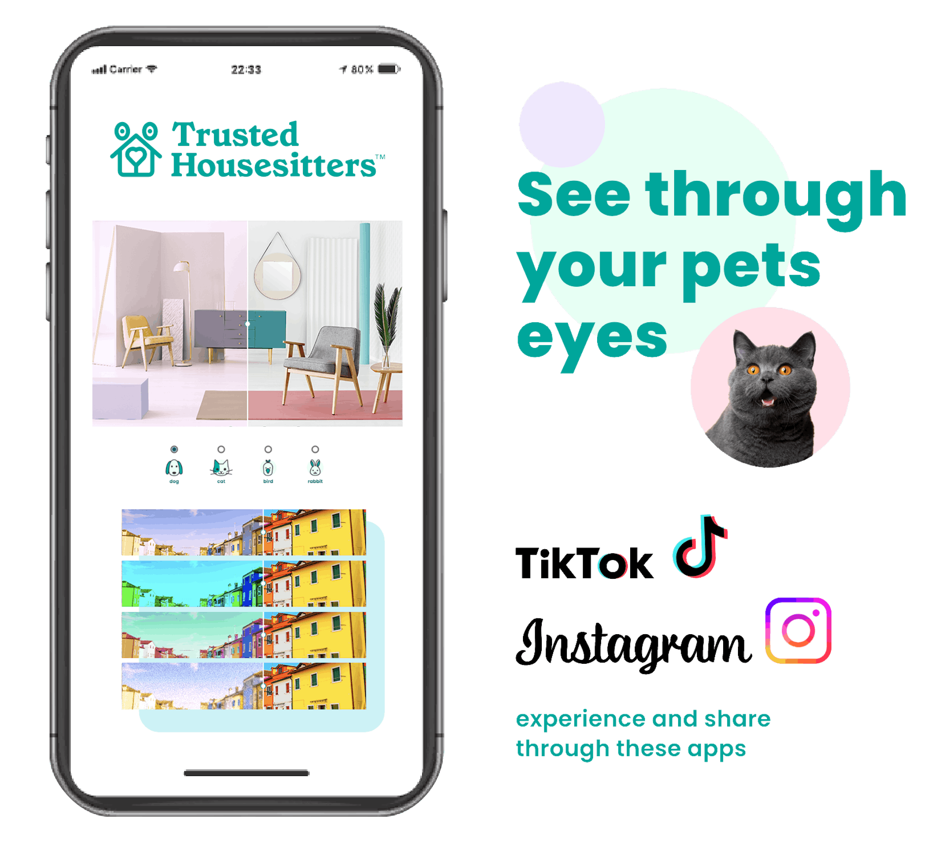 Through pets' eyes - pet vision tool phone mockup
