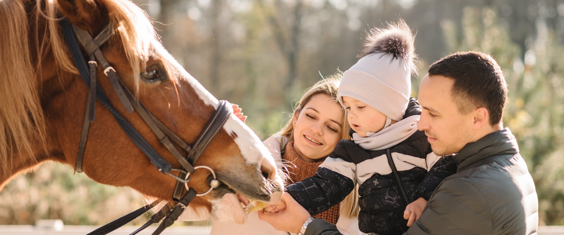 a couple holding a baby up to a horse to feed it a banana