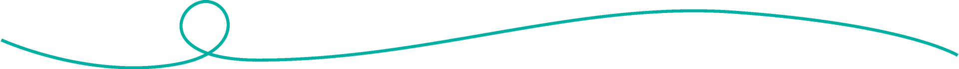 A swirly teal green divider line