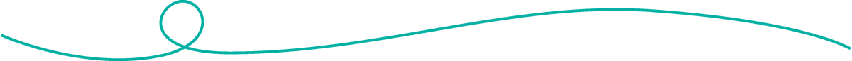 Teal divider line