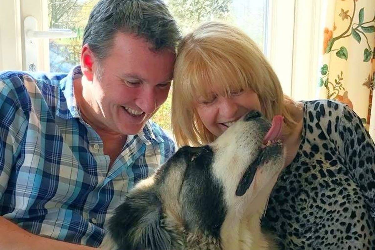 A Pyrenean Mastiff sitting on a man and a woman