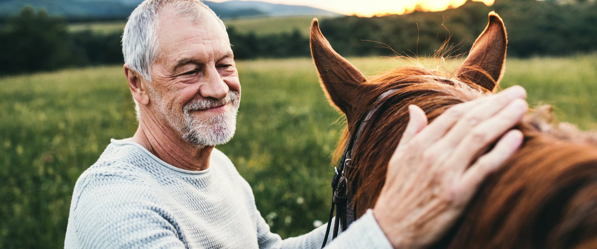 an older man stroking the mane of a ginger horse in a field whilst pet sitting a horse