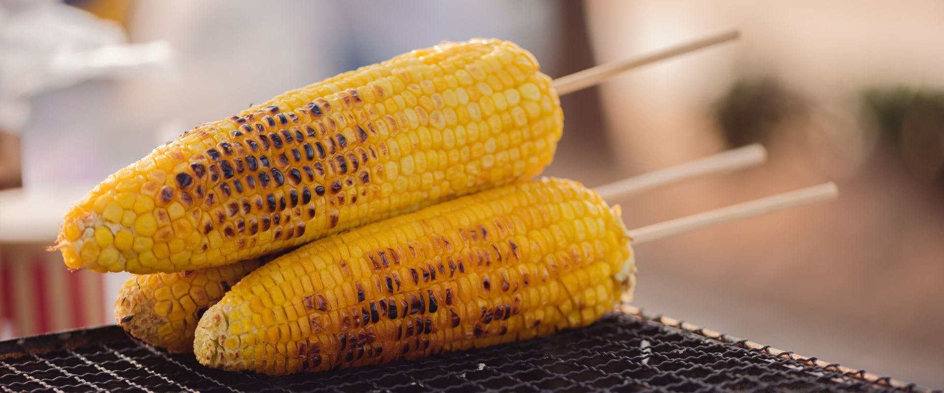 Corn on the cob on grill 