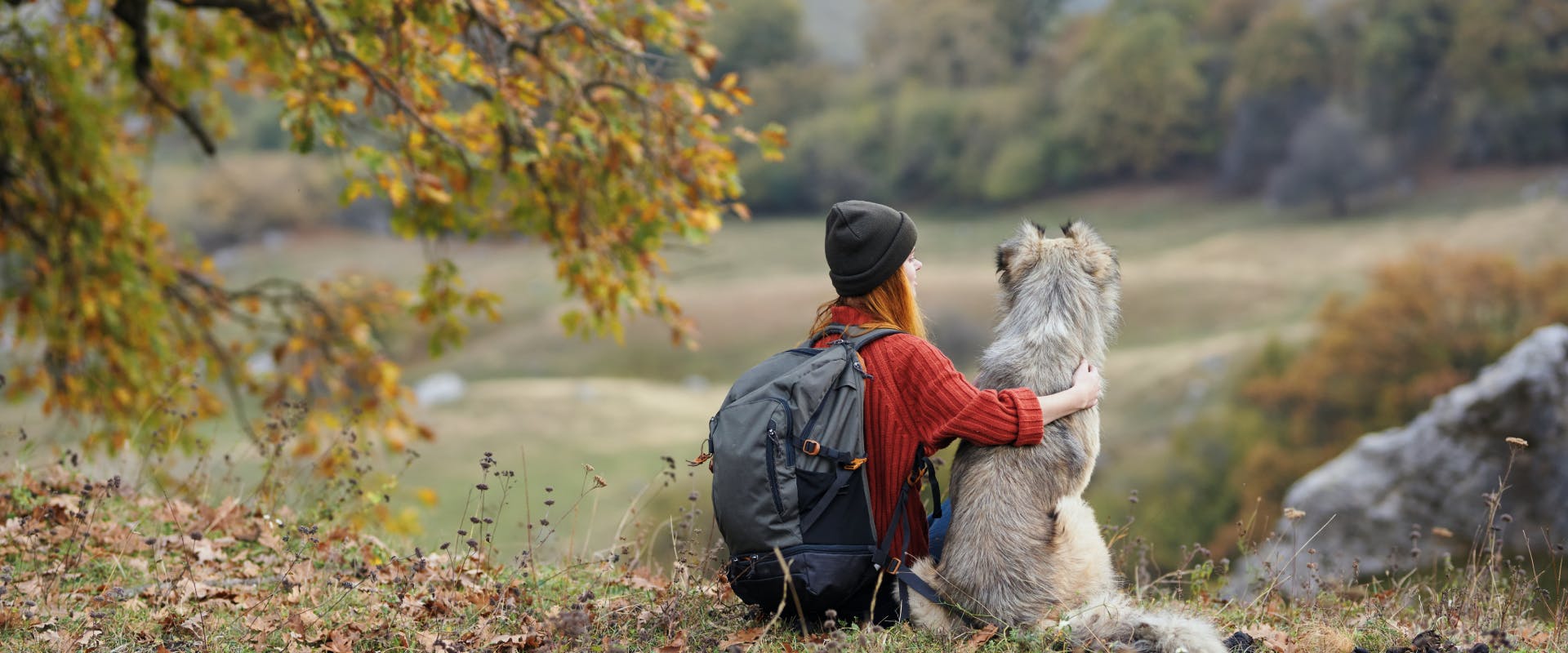 a woman and her dog on a dog walk in the woods sat on a hill looking at the view