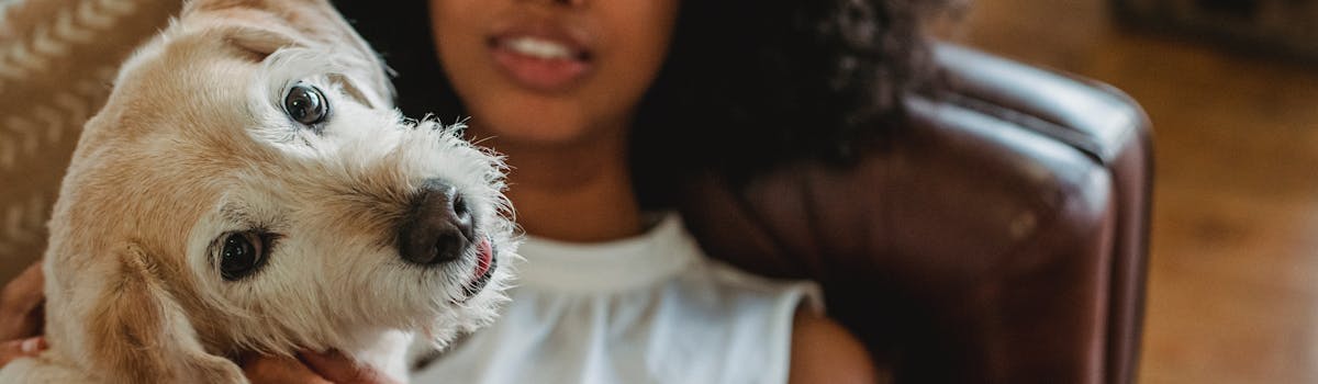 A small white dog sitting on top of a woman, looking up at the camera