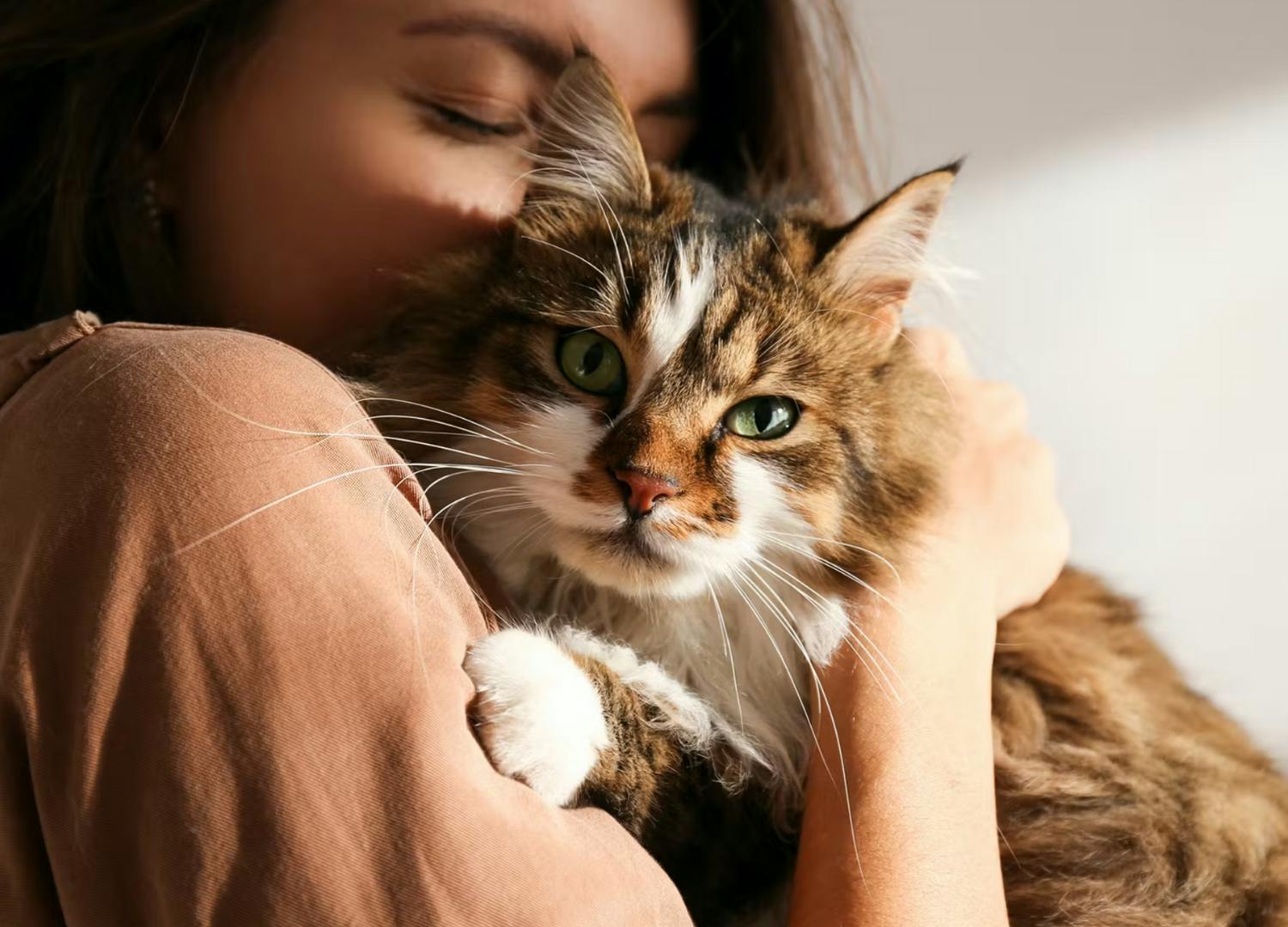 An owner hugging a cat