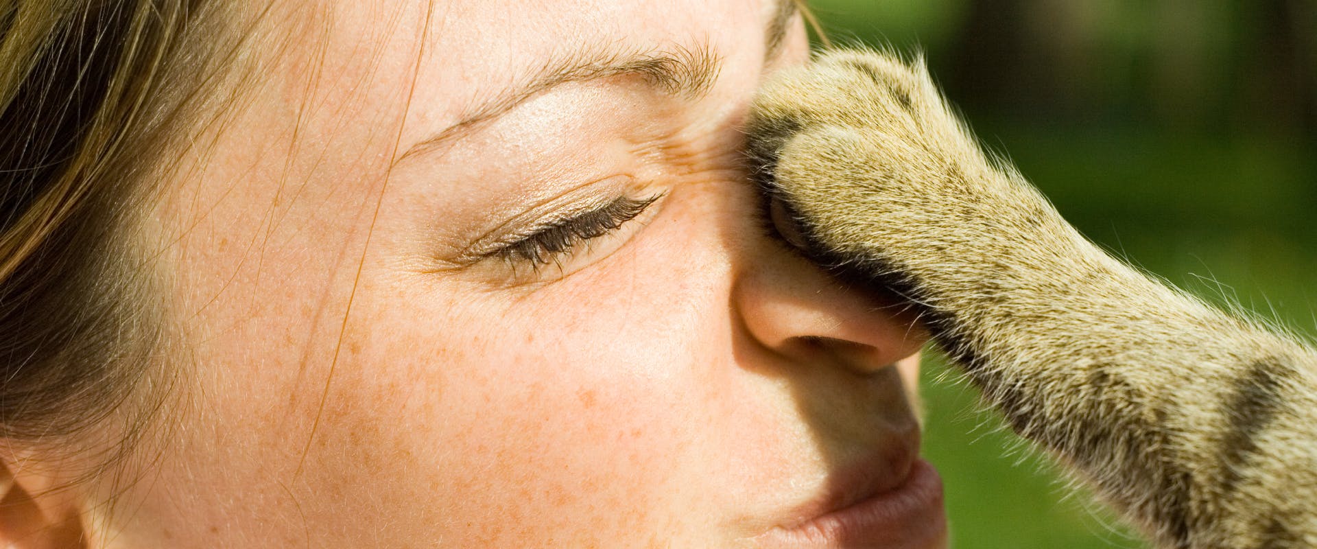 a tabby cat placing its paw on a human's nose