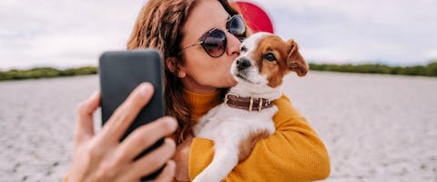 Person talking a selfie with a Terrier dog
