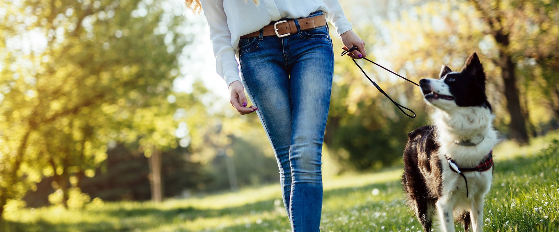 A woman walking a dog in a park on a sunny day