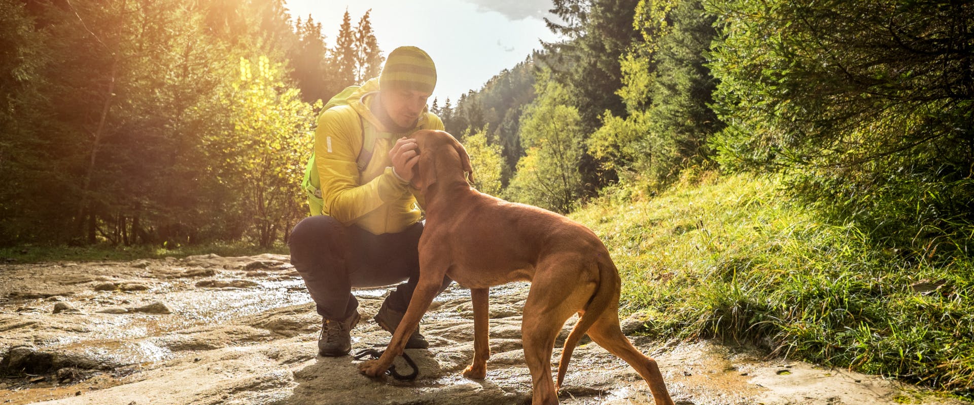 a man stroking the face of a dog whilst they're on a hike in the forest by a river