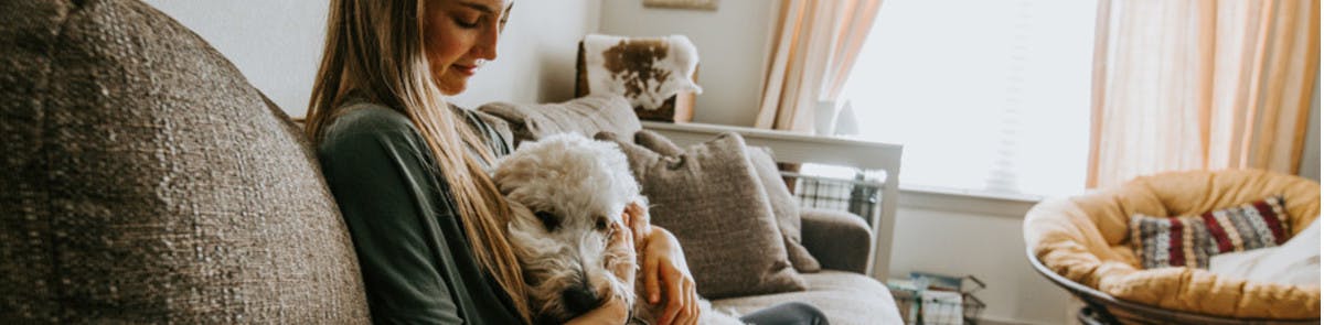 Dog sitting on sofa with female