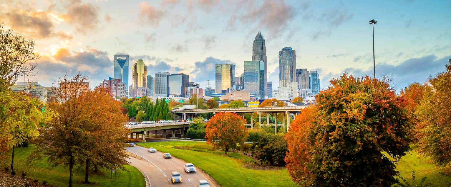 Charlotte, a dog-friendly city.
