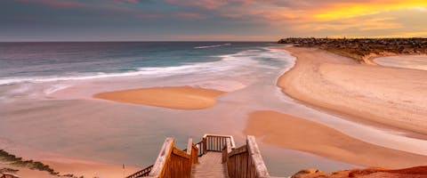 South Australia, a dog-friendly destination.