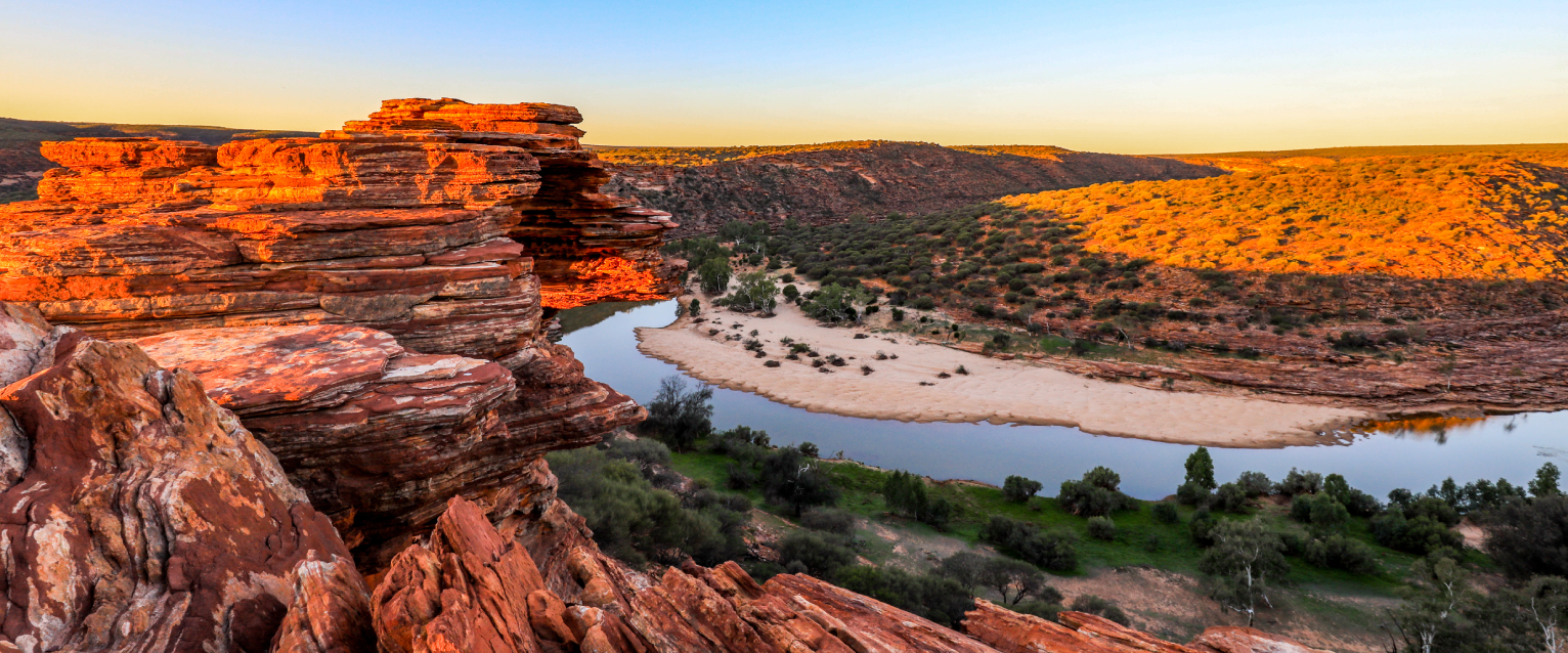 Western Australia, a dog-friendly destination.