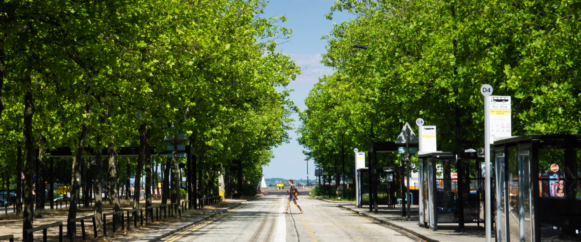 a person crossing a road lined by green trees in Milton Keynes