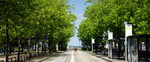 a person crossing a road lined by green trees in Milton Keynes