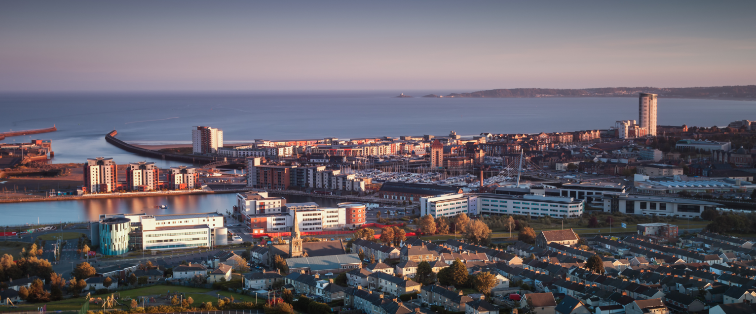Swansea, a dog-friendly city