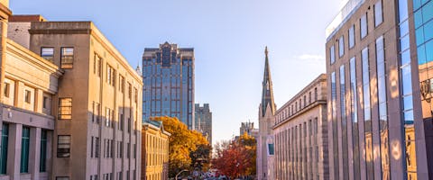 Raleigh, a dog-friendly city.