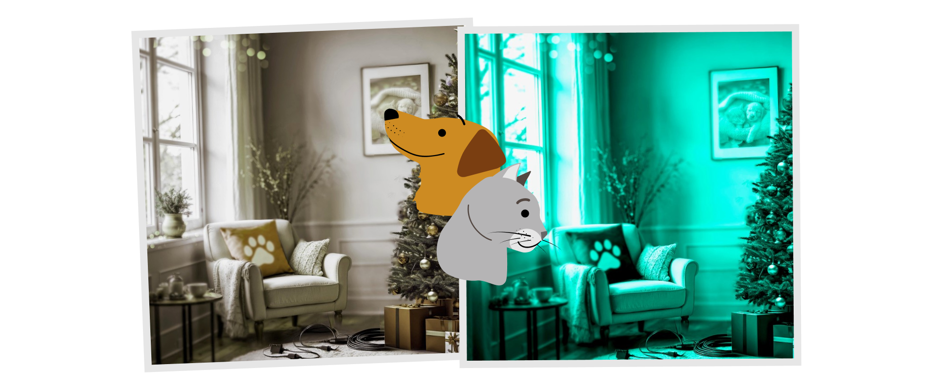 Holiday decorations through a dog’s eyes (left), and through a cat’s eyes (right)