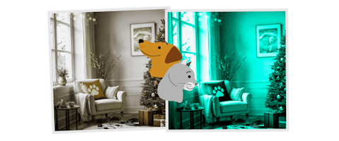 Holiday decorations through a dog’s eyes (left), and through a cat’s eyes (right)