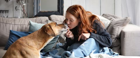 Woman petting a dog on a grey sofa at home