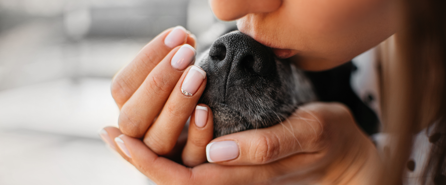 A pet parent kissing their dog on the nose.