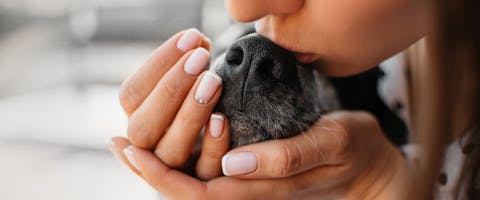 A pet parent kissing their dog on the nose.
