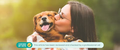 A dog snuggling with their owner. This article has been checked by a vet.